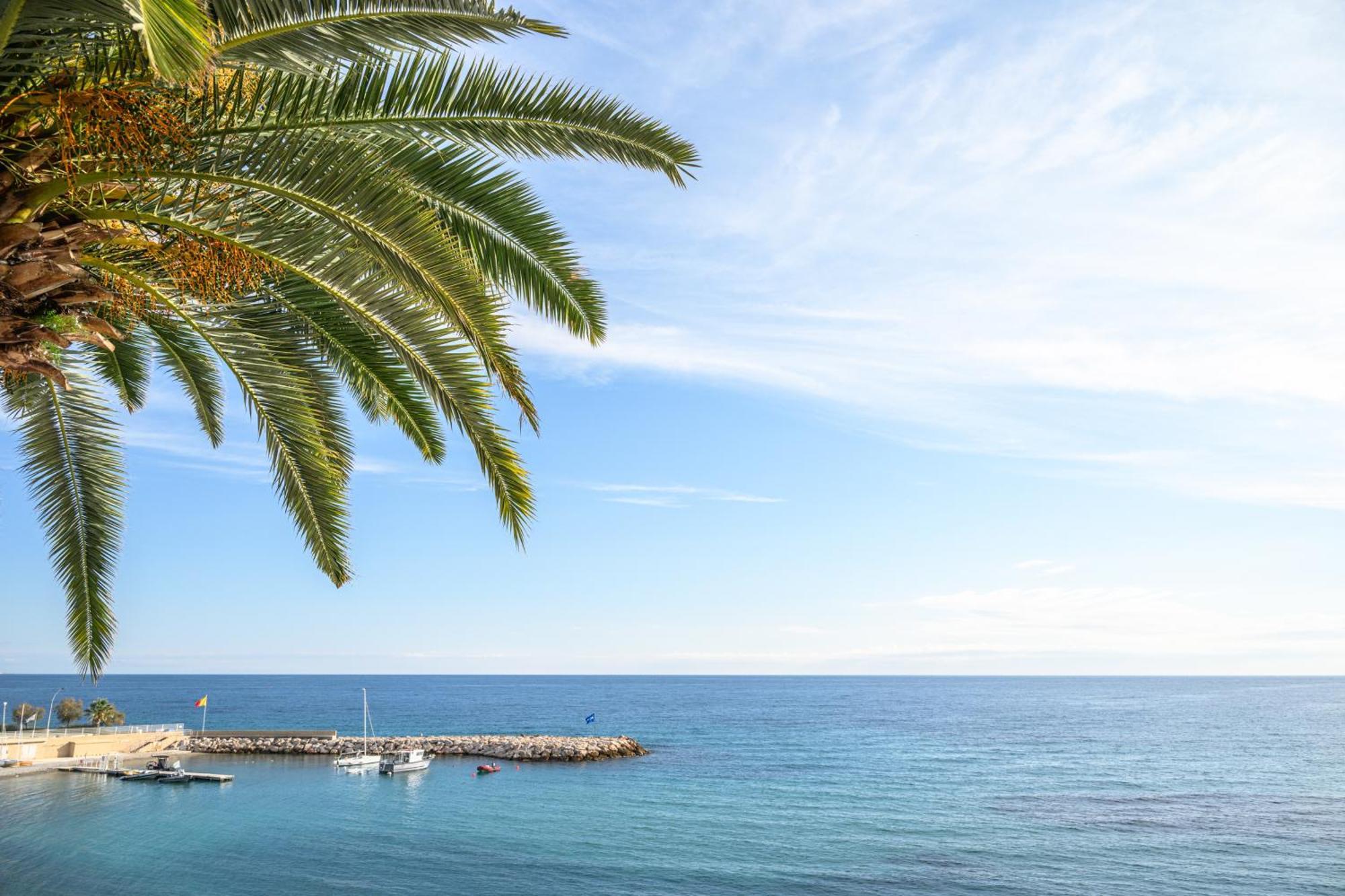 Le Coq Ligures - Air Conditioning - Seafront - Wifi ロクブリュヌ＝カップ＝マルタン エクステリア 写真